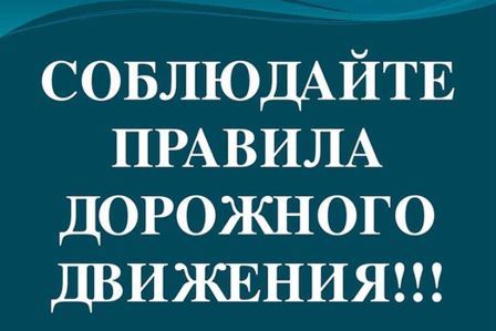 Омские автоинспекторы усилят контроль за «иностранными» транспортными средствами.