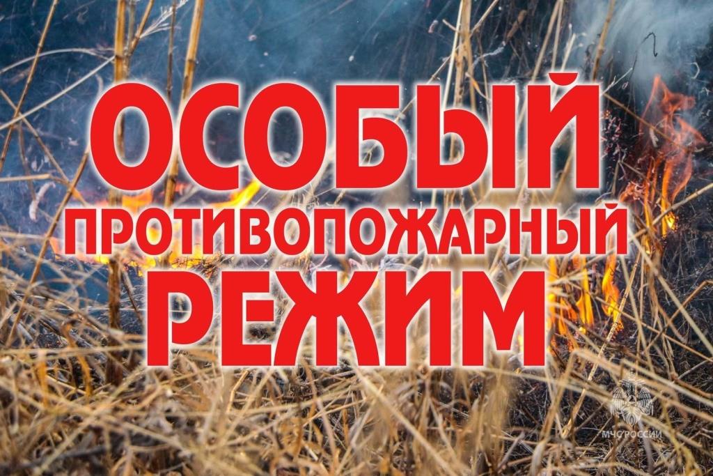 В Омской области введен особый противопожарный режим.