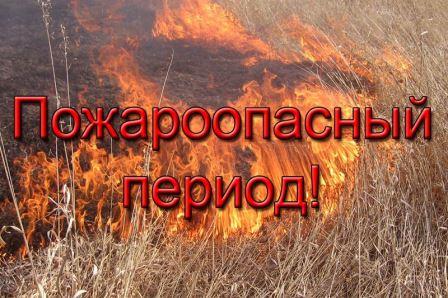 Очищать территорию от сухой травы – обязанность каждого владельца земельного участка.