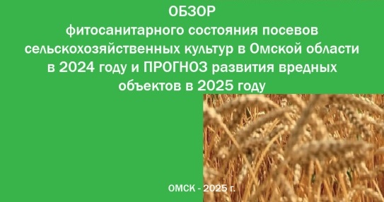 Обзор фитосанитарного состояния посевов сельскохозяйственных культур в Омской области в 2024 году и прогноз развития вредных объектов на 2025 год.