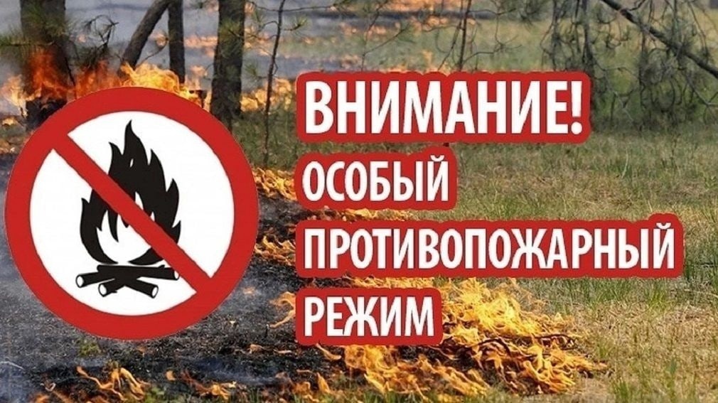 В Оконешниковском районе введен особый противопожарный режим.