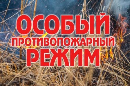 В Оконешниковском районе действует особый противопожарный режим.